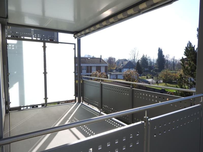 3 1/2-Zimmer-Wohnung im schönen Blüemlismatt-Quartier (8)