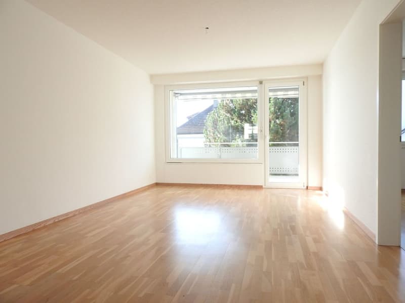 3 1/2-Zimmer-Wohnung im schönen Blüemlismatt-Quartier (4)