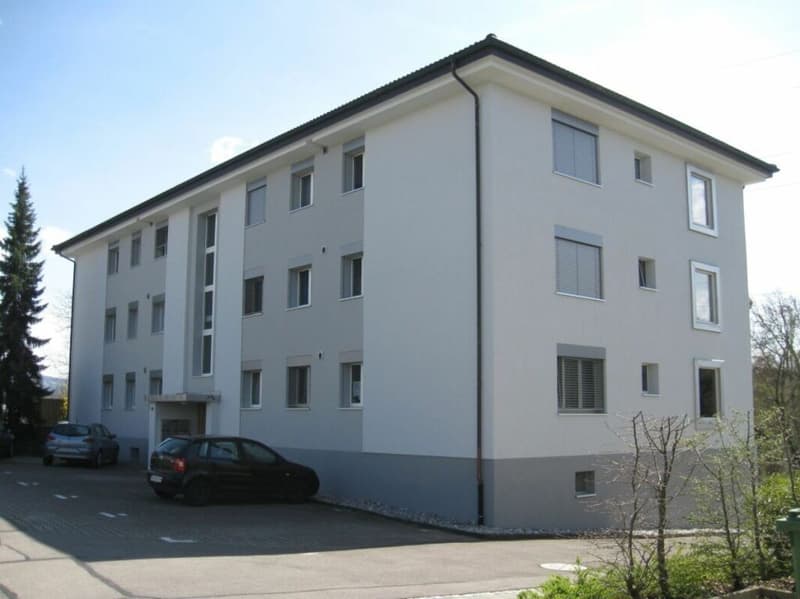 Natürlich wohnen mit Stil - 3.5-Zimmerwohnung in Birmenstorf AG (1)