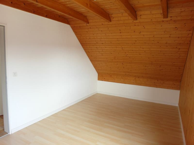 4.5-Room Attic Love with Fireplace & Panoramic View (6)