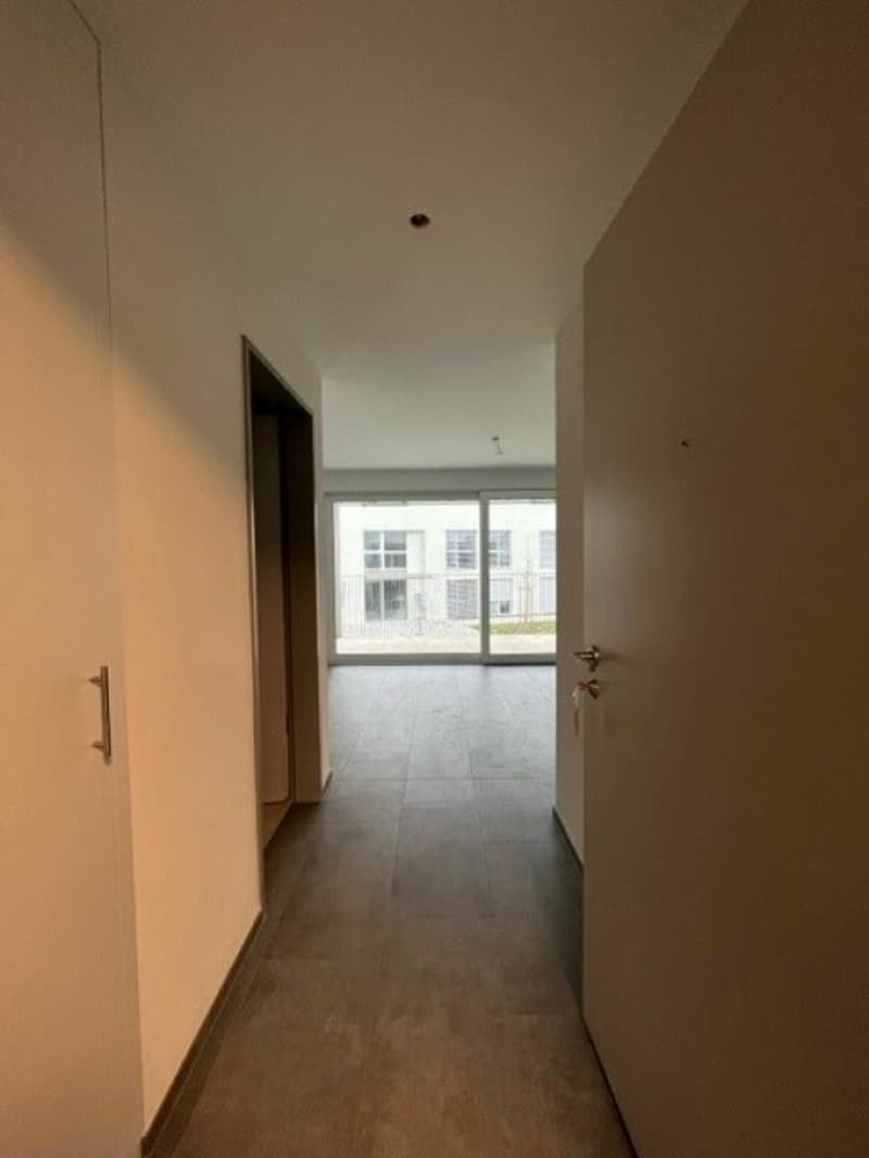 Modern 1.5 room apartment with balcony in Brugg (5)