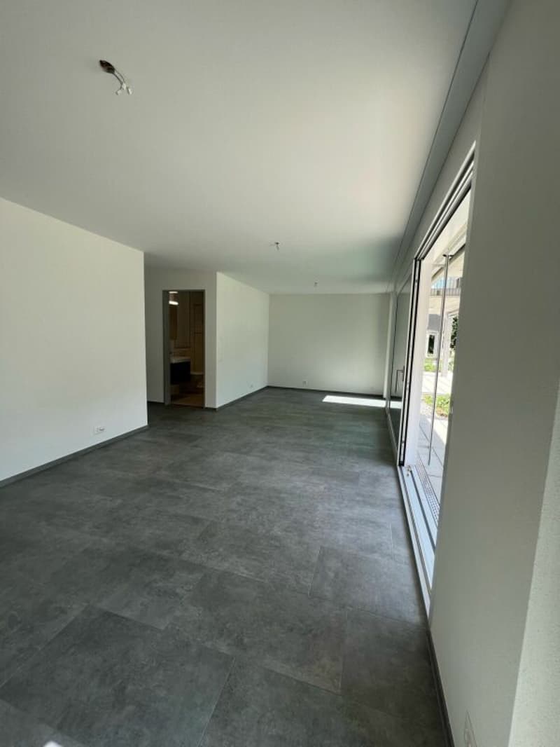 Modern 1.5 room apartment with balcony in Brugg (6)