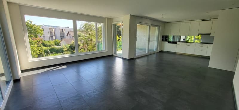 Modern living in 4.5 rooms with flair - a home to fall in love with (2)