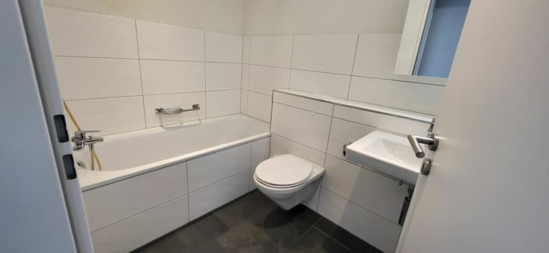 Modern living in 4.5 rooms with flair - a home to fall in love with (8)