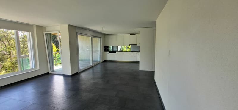 Modern living in 4.5 rooms with flair - a home to fall in love with (4)