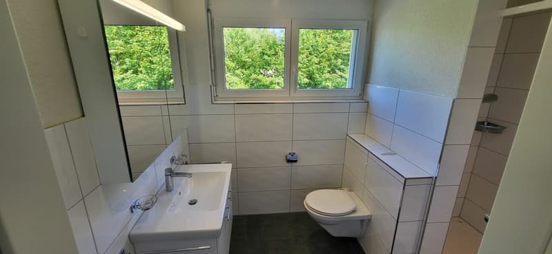 Modern living in 4.5 rooms with flair - a home to fall in love with (9)