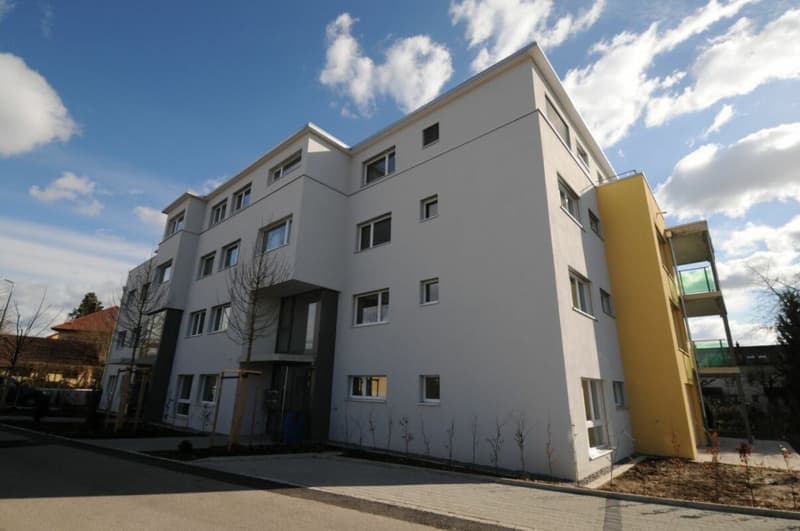 Modern living in 4.5 rooms with flair - a home to fall in love with (15)