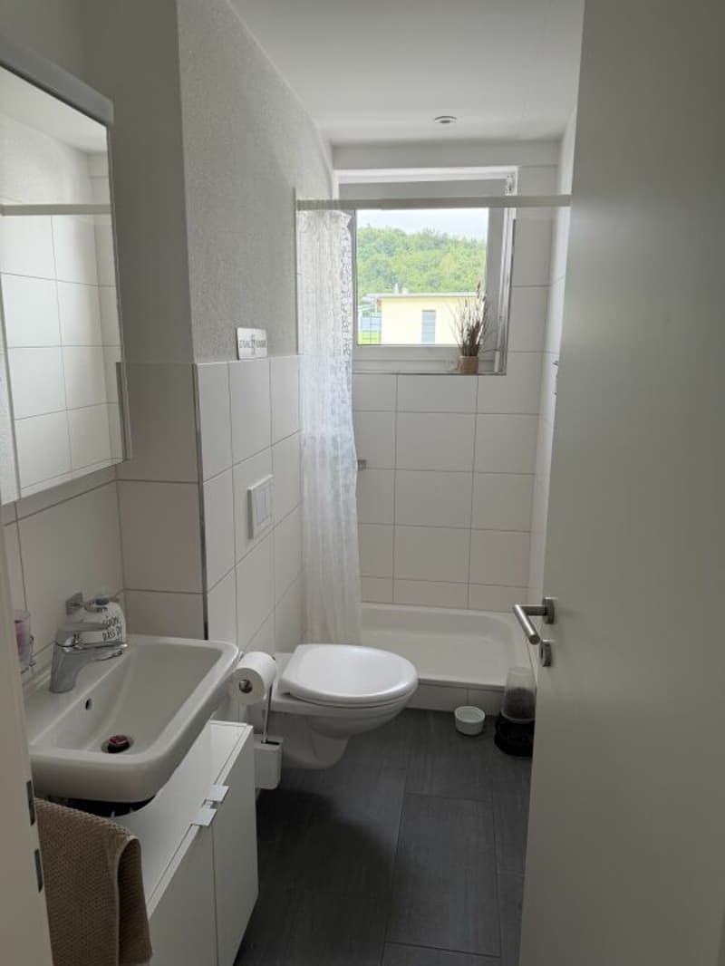 Vivi il wow - attico 4,5 locali a Hausen - vivere sopra i tetti con stile (6)