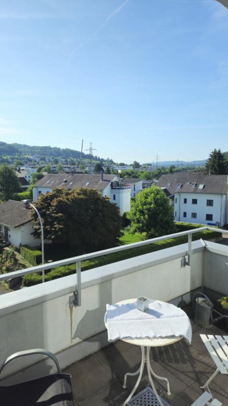 Vivi il wow - attico 4,5 locali a Hausen - vivere sopra i tetti con stile (14)