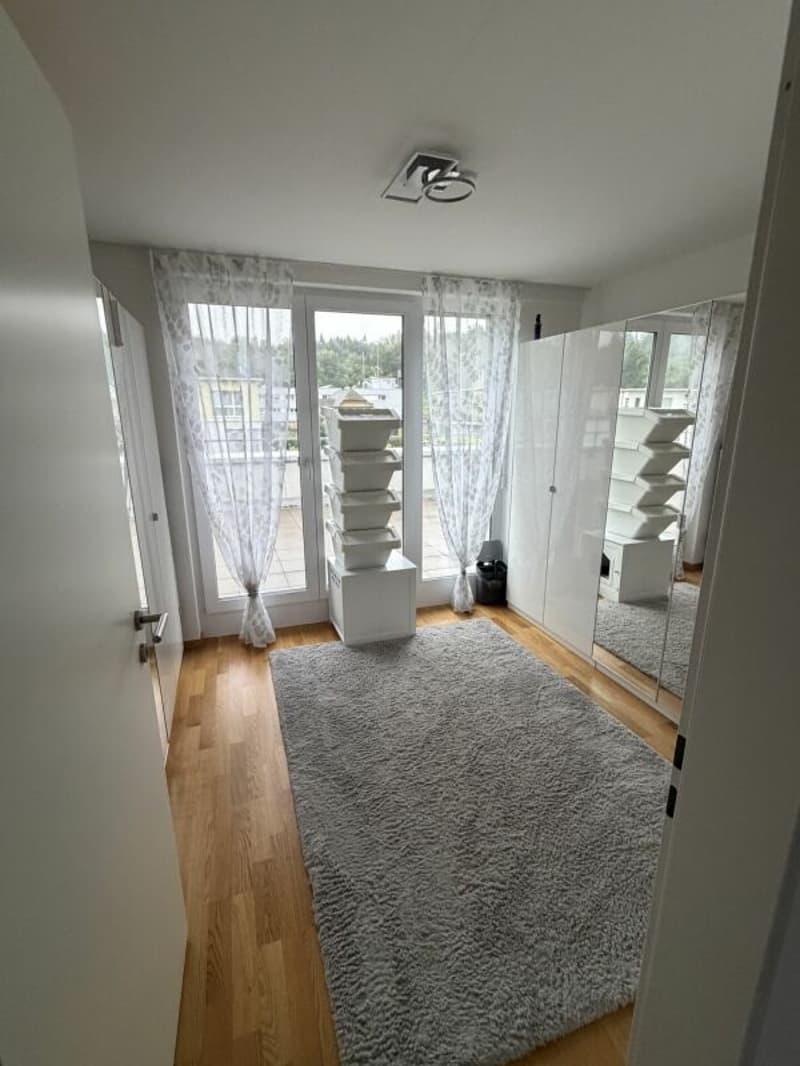 Vivi il wow - attico 4,5 locali a Hausen - vivere sopra i tetti con stile (9)