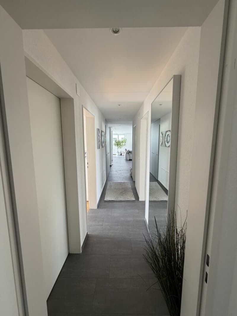Vivi il wow - attico 4,5 locali a Hausen - vivere sopra i tetti con stile (11)