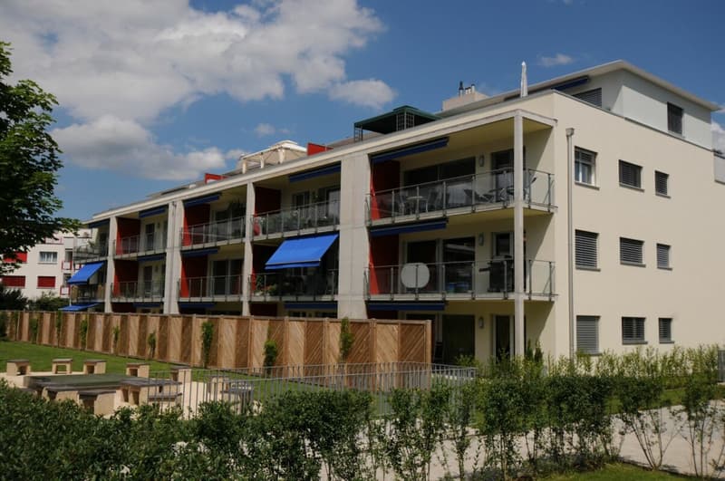 Vivi il wow - attico 4,5 locali a Hausen - vivere sopra i tetti con stile (16)