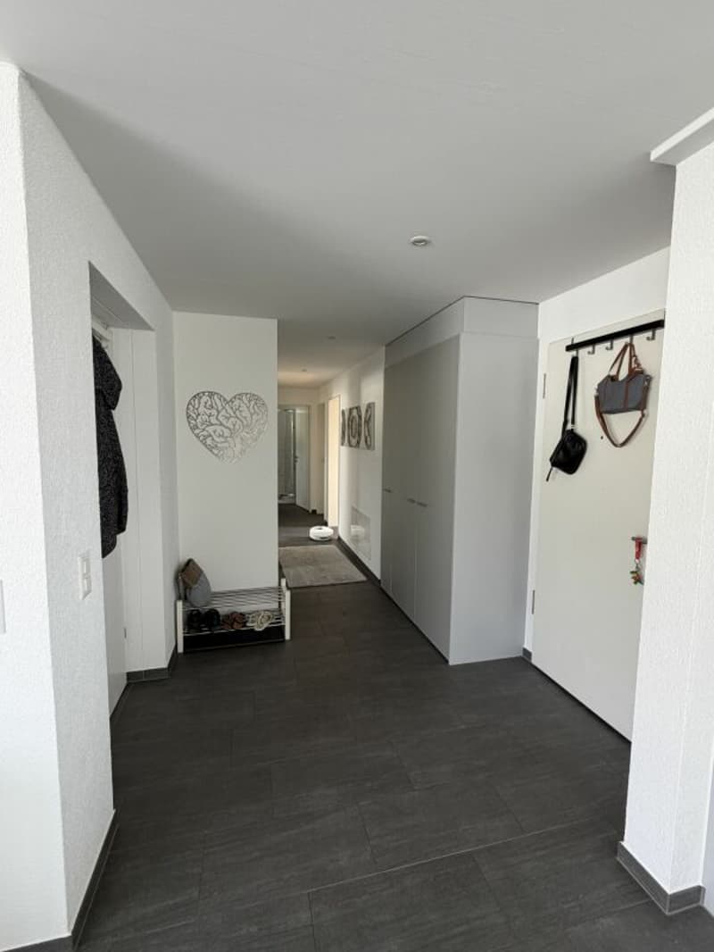 Vivi il wow - attico 4,5 locali a Hausen - vivere sopra i tetti con stile (10)