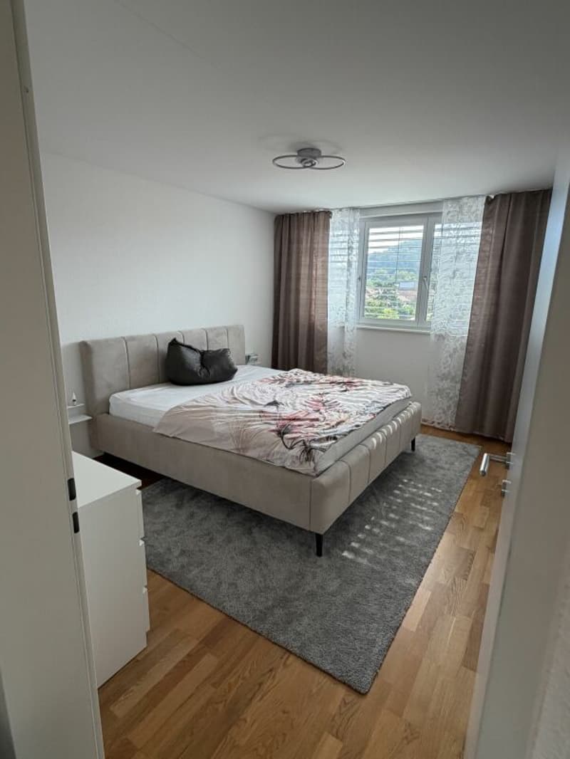 Vivi il wow - attico 4,5 locali a Hausen - vivere sopra i tetti con stile (7)