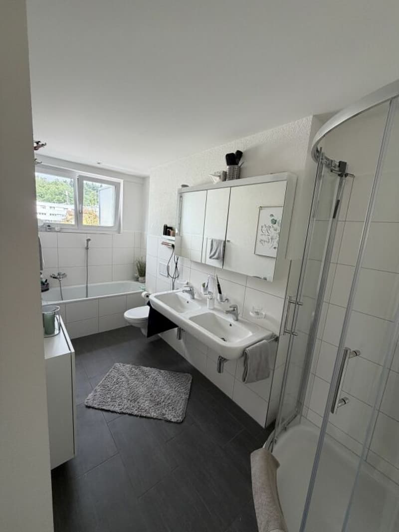 Vivi il wow - attico 4,5 locali a Hausen - vivere sopra i tetti con stile (5)