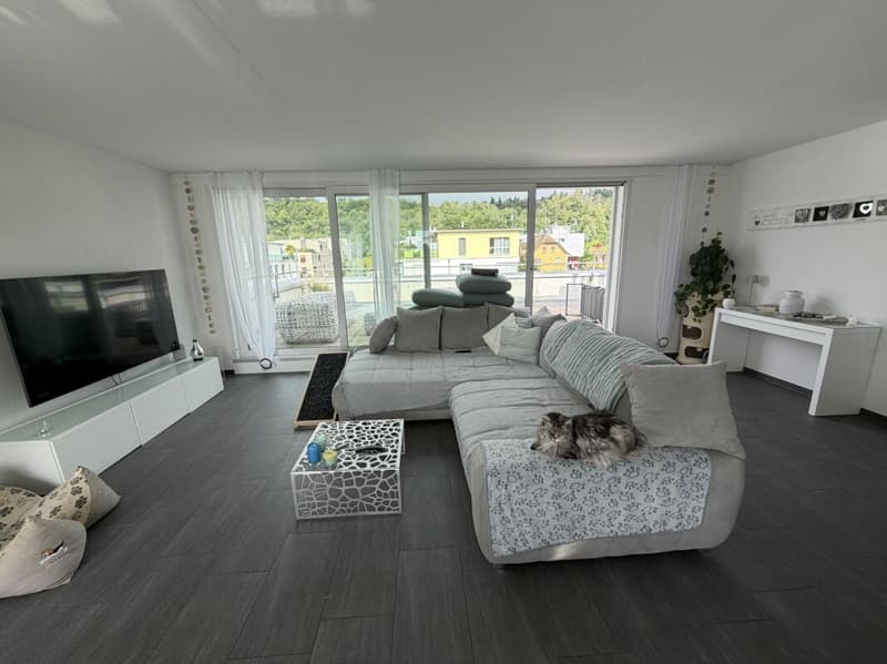 Vivi il wow - attico 4,5 locali a Hausen - vivere sopra i tetti con stile (1)
