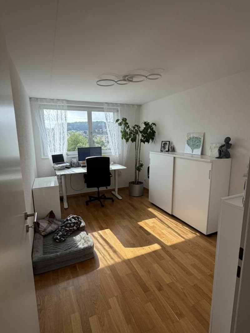 Vivi il wow - attico 4,5 locali a Hausen - vivere sopra i tetti con stile (8)