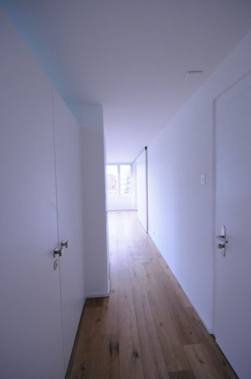 Appartement charmant de 3,5 pièces au 3e étage + appartement de 2,5 pièces avec loggia au rez-de-chaussée (7)