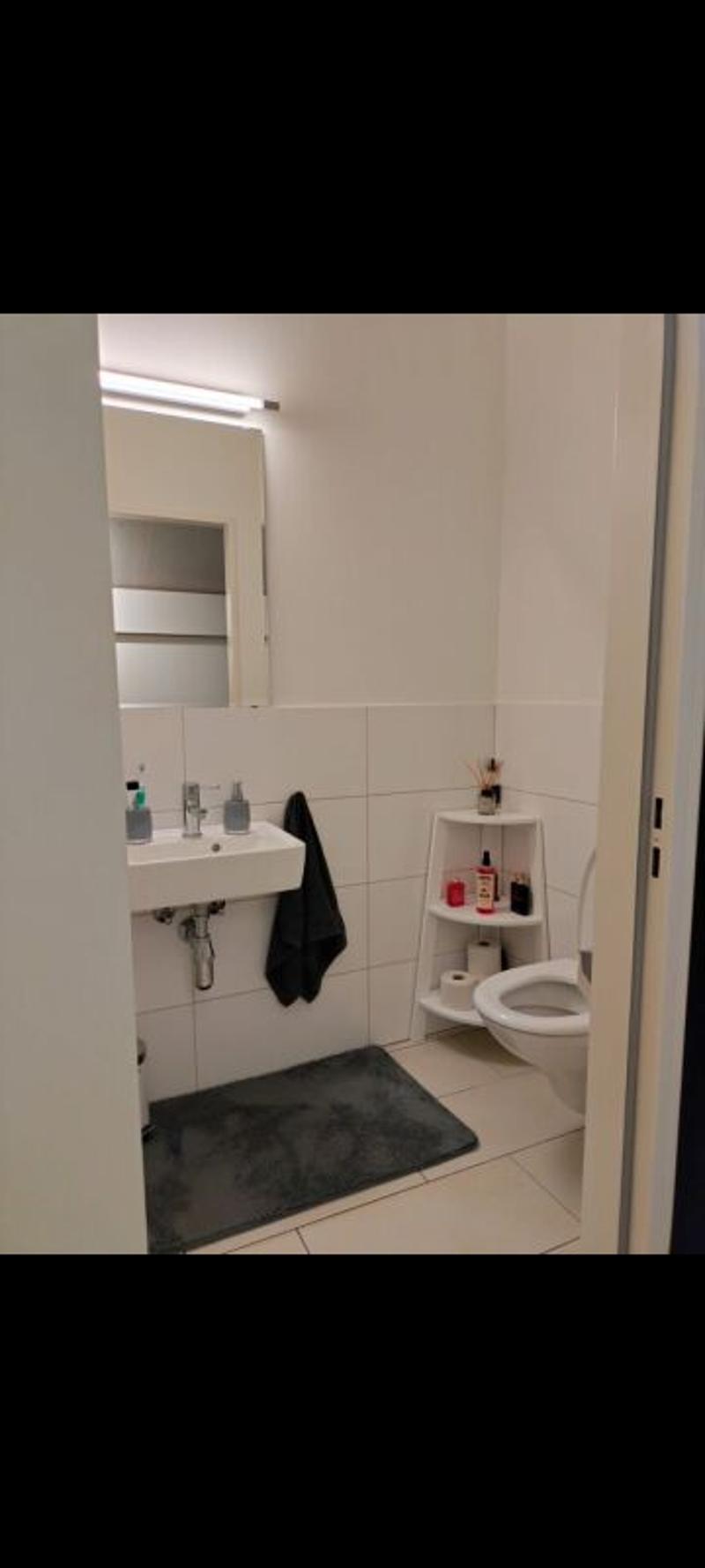 Charming and wonderfully bright - 2.5-room attic apartment in Windisch (8)