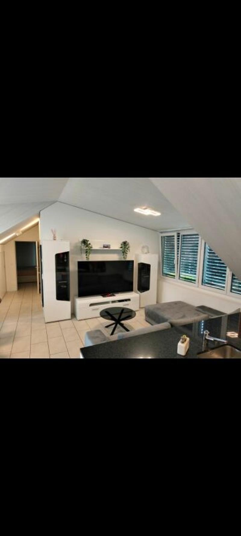 Charming and wonderfully bright - 2.5-room attic apartment in Windisch (4)