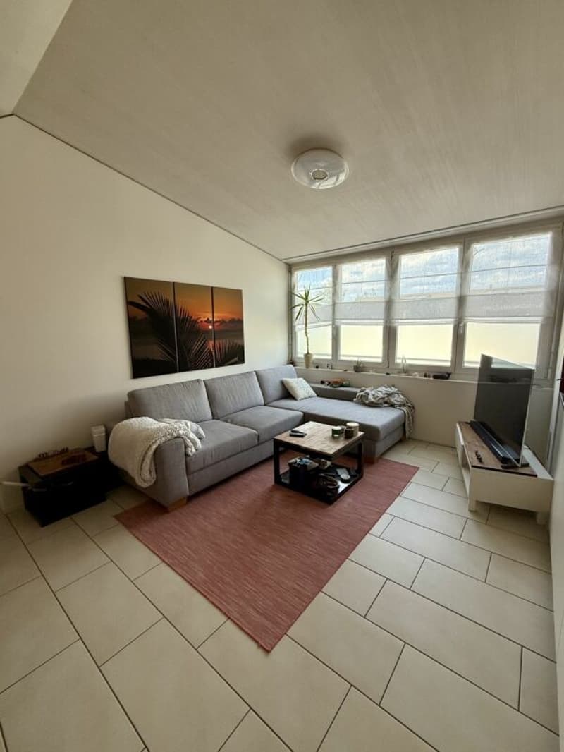 Charming and wonderfully bright - 2.5-room attic apartment in Windisch (12)