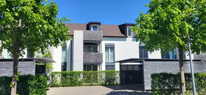 Charming and wonderfully bright - 2.5-room attic apartment in Windisch (1)