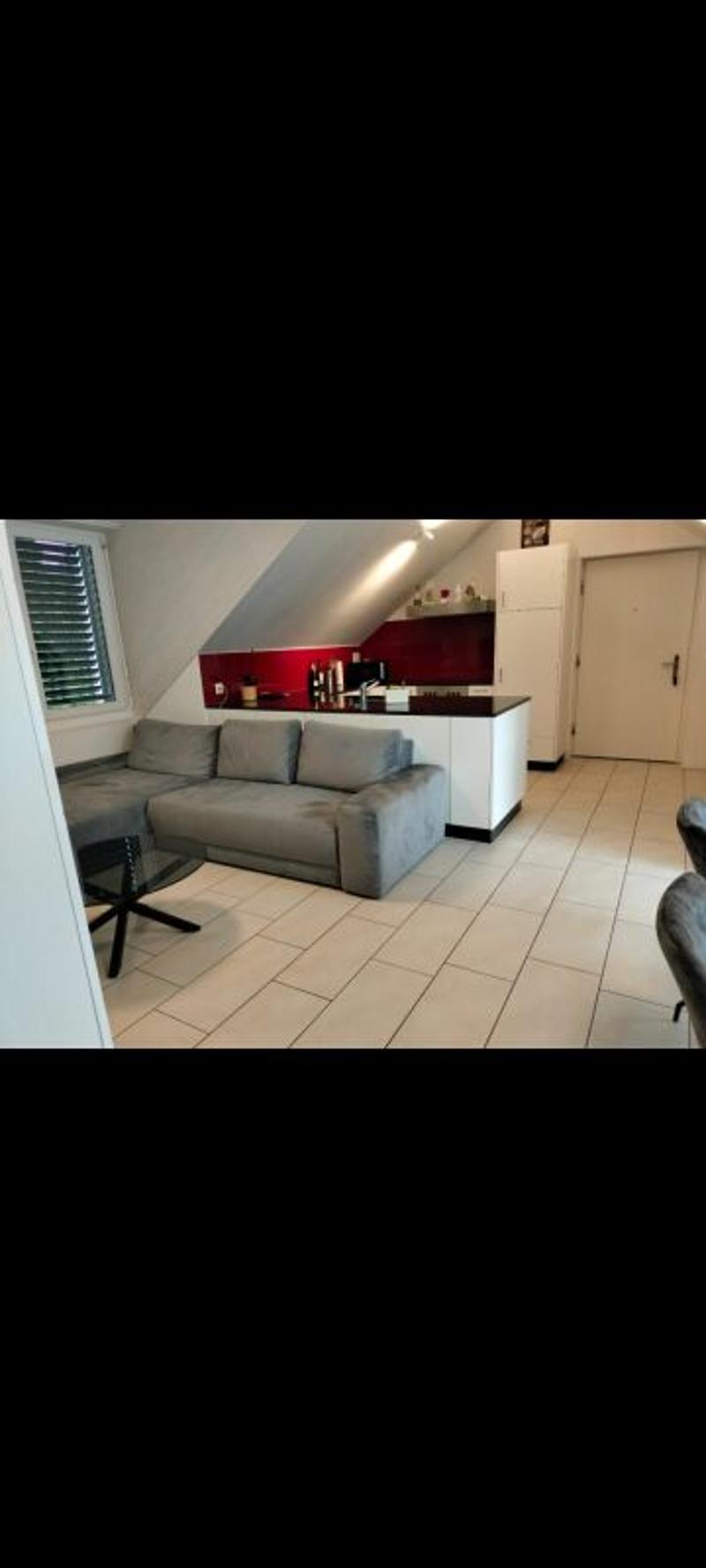 Charming and wonderfully bright - 2.5-room attic apartment in Windisch (5)