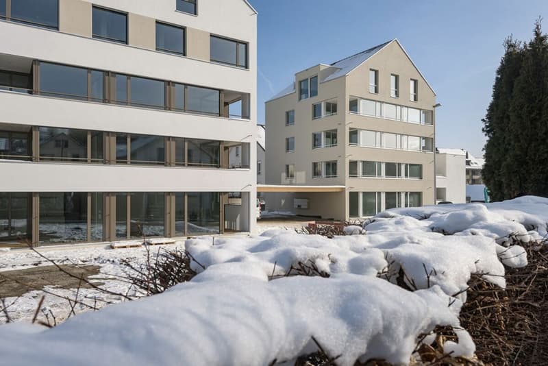 heimelige 2.5-Zimmerwohnung in Menziken mit Loggia im Erdgeschoss (1)
