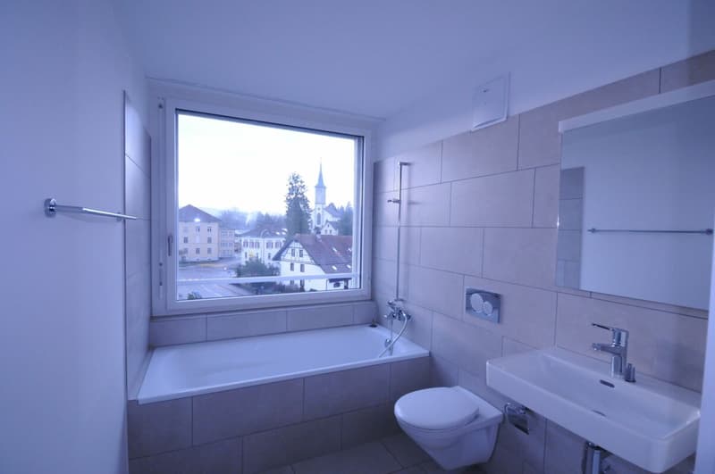 Charmante 3.5-Zimmerwohnung in Menziken (3. OG) - sucht Sie! (8)