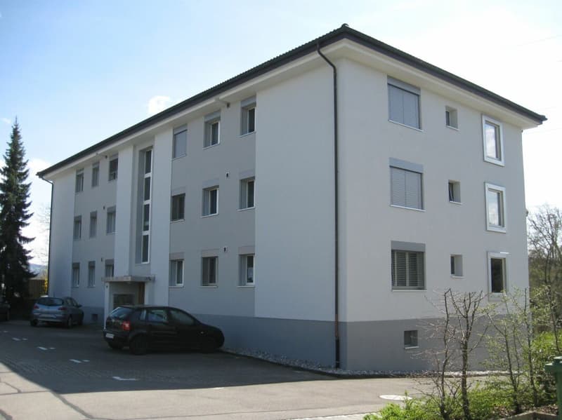Gemütliche 3.5-Zimmer-Wohnung in Birmenstorf sucht neuen Mieter (1)