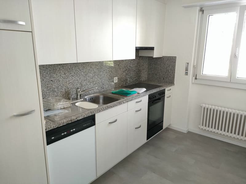 Gemütliche 3.5-Zimmer-Wohnung in Birmenstorf sucht neuen Mieter (2)