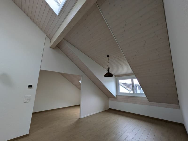 Wunderschöne 2.5 Zimmer-Attikawohnung- Ihr neues Zuhause! (3)