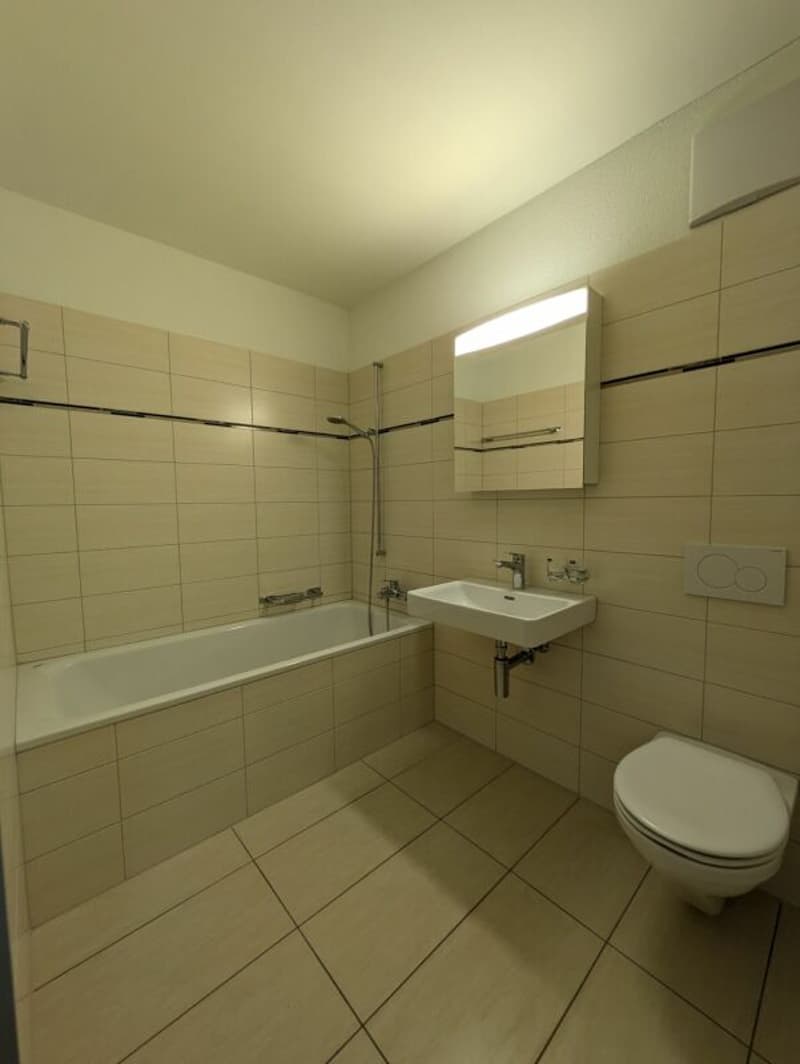Wunderschöne 2.5 Zimmer-Attikawohnung- Ihr neues Zuhause! (7)