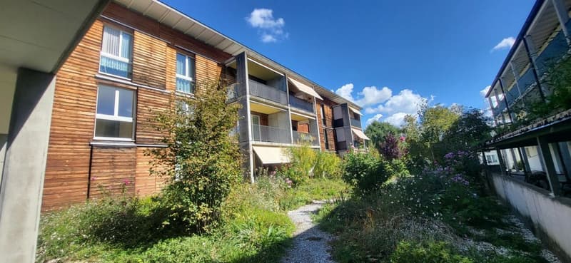 Schöne 3-Zimmerwohnung sucht neuen Bewohner mit Flair fürs Grüne! (1)