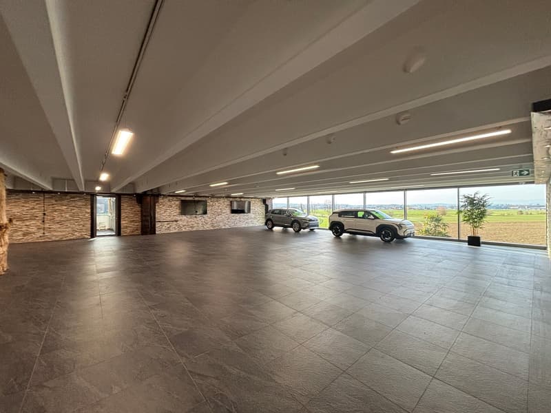 large open space, tiled floor, two cars parked, large windows, plants