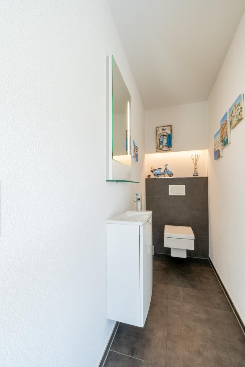 Modern & Exceptional with 290m2 usable space, well-maintained garden complex with chrome steel pool (17)