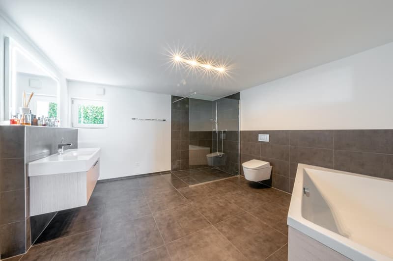 Modern & Exceptional with 290m2 usable space, well-maintained garden complex with chrome steel pool (19)