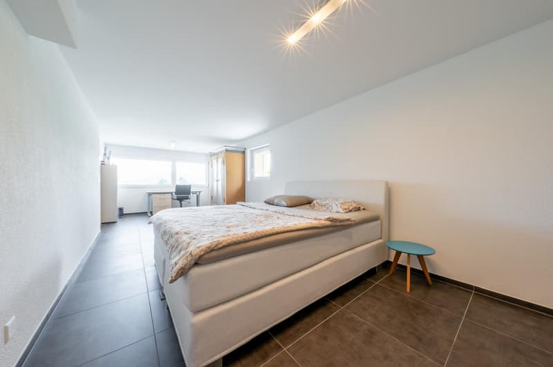 Modern & Exceptional with 290m2 usable space, well-maintained garden complex with chrome steel pool (23)