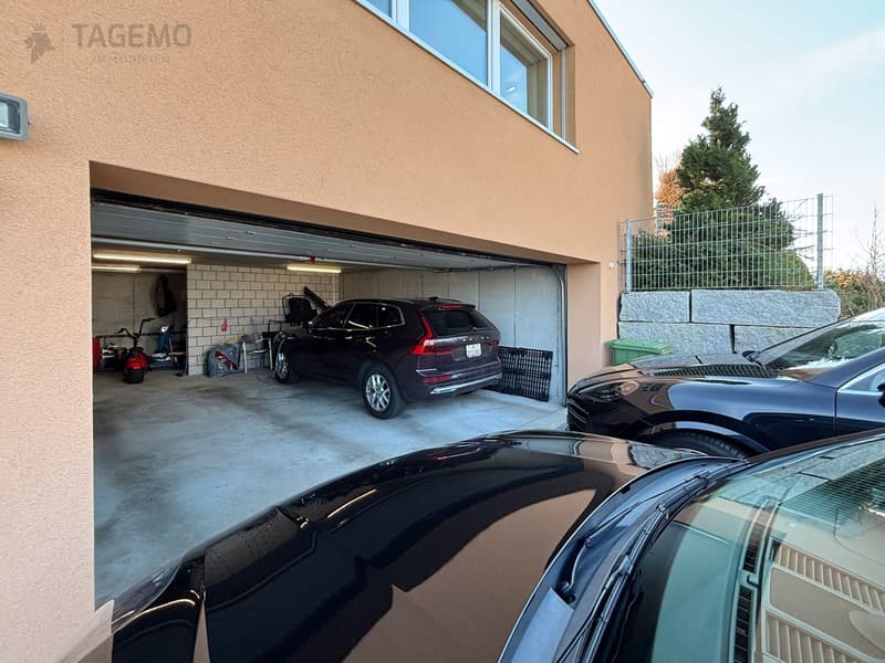 Modern & Exceptional with 290m2 usable space, well-maintained garden complex with chrome steel pool (7)