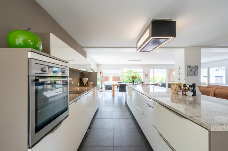 Modern & Exceptional with 290m2 usable space, well-maintained garden complex with chrome steel pool (3)