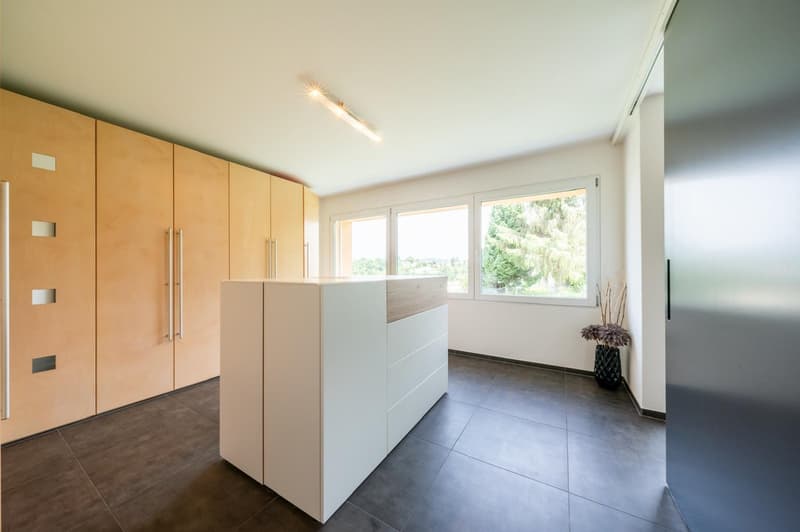 Modern & Exceptional with 290m2 usable space, well-maintained garden complex with chrome steel pool (15)