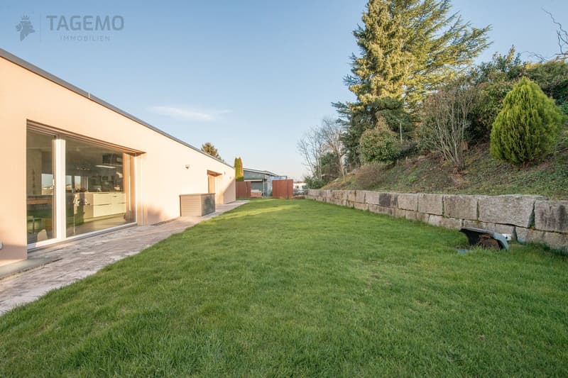Modern & Exceptional with 290m2 usable space, well-maintained garden complex with chrome steel pool (8)