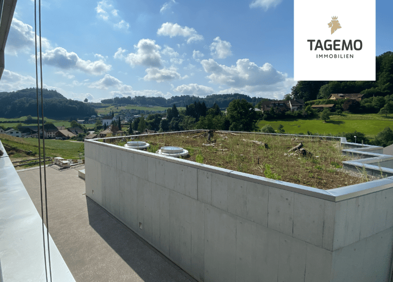 Duplex dream home with 300m2 - NEW BUILD (10)