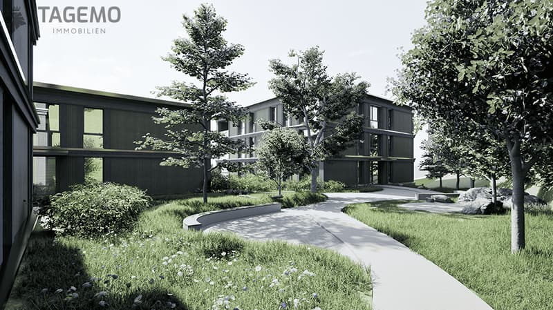 Modern building with green facade, large windows, surrounded by trees and grass, walkway leading to the entrance