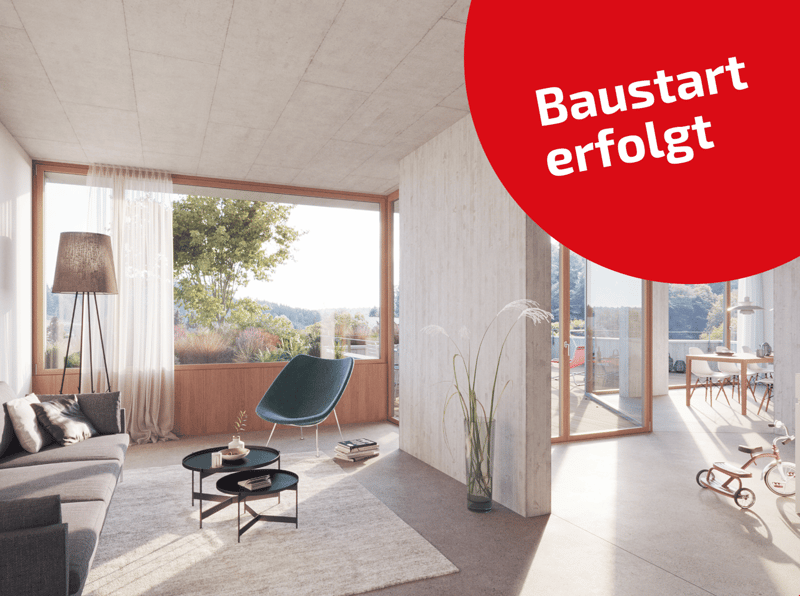 modern living room with large windows, couch, chair, coffee table, floor lamp, rug, plant, outdoor view