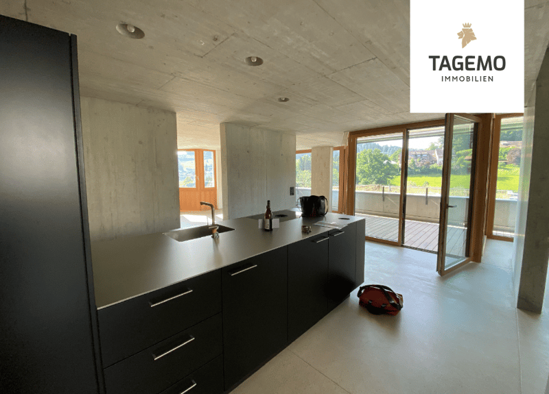 modern kitchen with black cabinets, stainless steel countertop, sink, faucet, bottle, sliding glass doors, balcony, wooden floor, bags