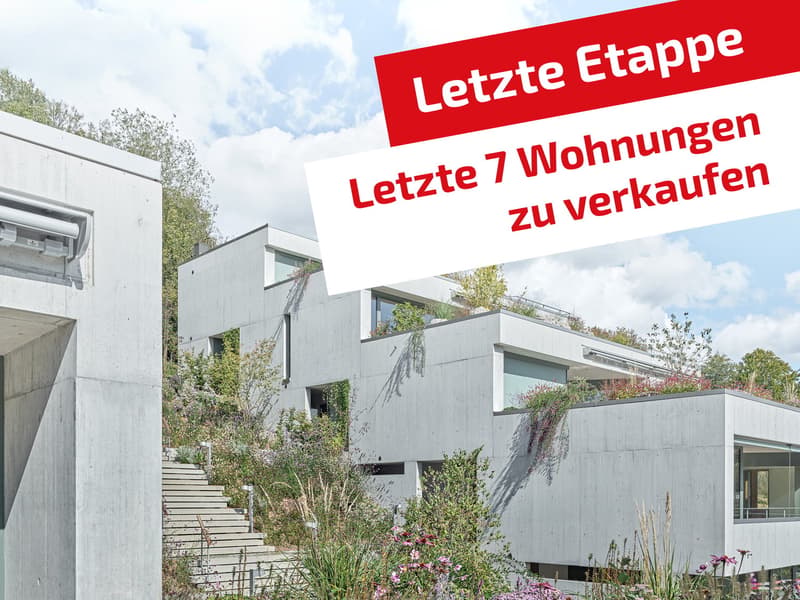 Modern concrete house, multiple levels, green rooftop, garden, stairs