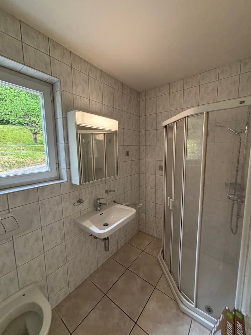 Bathroom with sink, shower, toilet, and window
