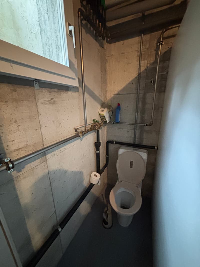 Small bathroom with toilet, pipes, and a window
