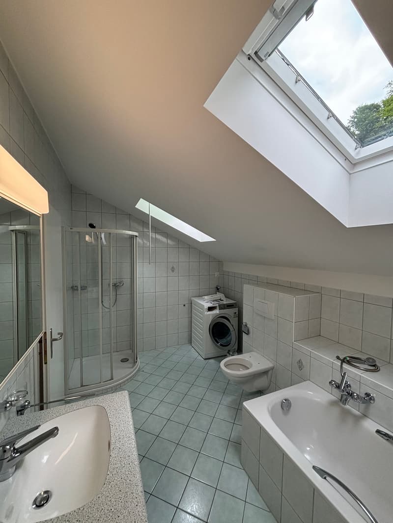 Bathroom with shower, toilet, washing machine, bathtub, skylights, tiled floor